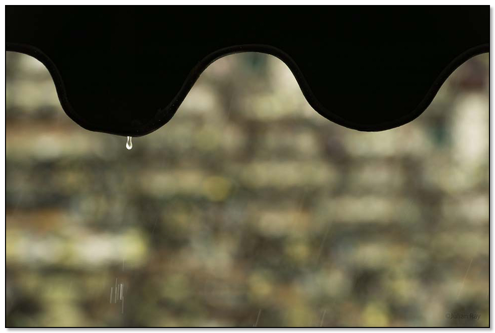 Water drop in silhouette