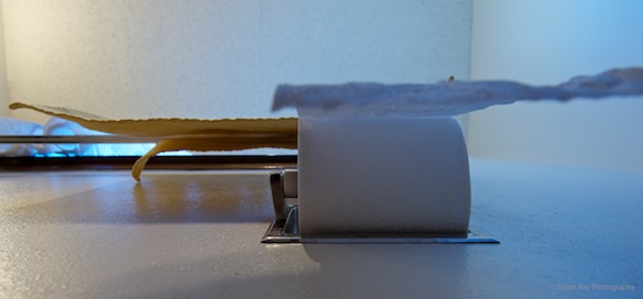 TP